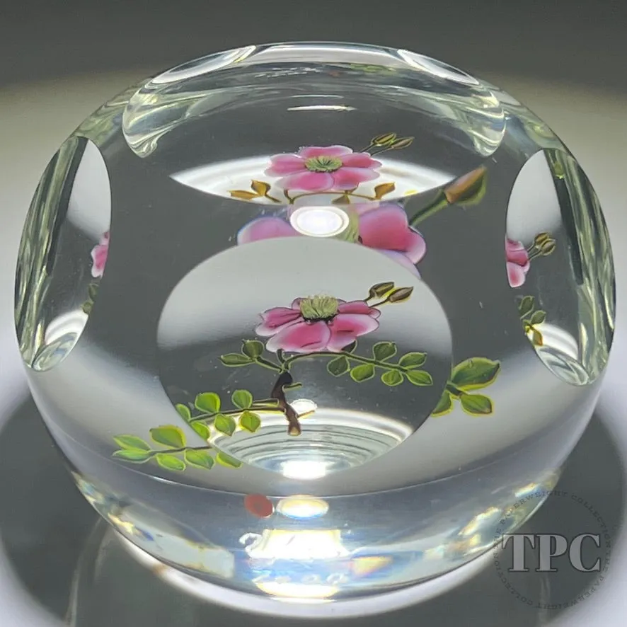 Paul Stankard 1977 LE Faceted Glass Art Paperweight Flamework Pink Wild Rose